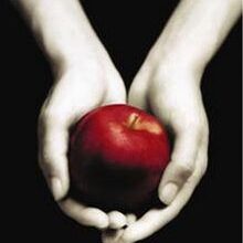 Stephenie Meyer «Alacakaranlık»
