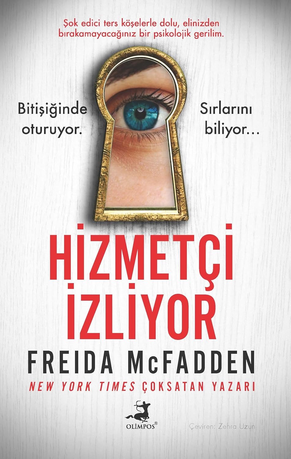Freida Mcfadden «Hizmetçi İzliyor» pdf indir