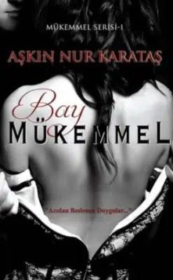 «Bay Mükemmel» Aşkın Nur Karataş pdf indir