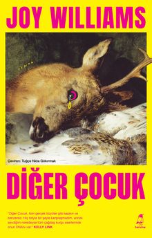 Joy Williams «Diğer Çocuk» pdf indir