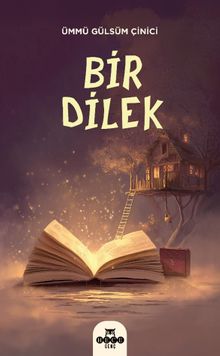 Ümmü Gülsüm Çinici «Bir Dilek» pdf indir