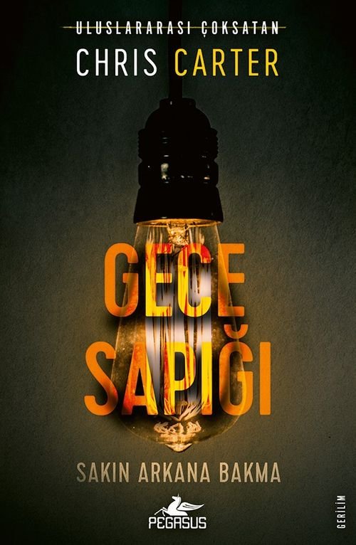 Chris Carter «Gece Sapığı / Robert Hunter 3» pdf indir
