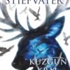 Maggie Stiefvater «Kuzgun Kral»