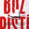Roberto Bolano «Buz Pisti»